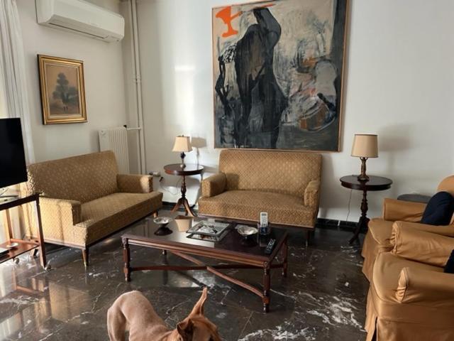 Spacious And Sunny Appartment In Cholargos Athènes Extérieur photo